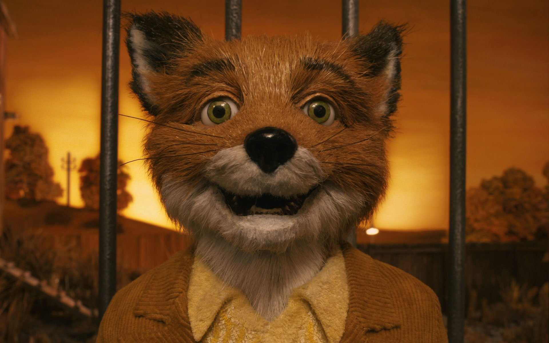 fantastic mr fox book