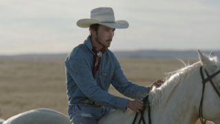 Top 6 Films From the First Half of 2018 the rider image